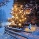 thumbnail image 4 of Adornos navideños, animales navideños iluminados, animales brillantes con tiras de luces para decoración de patios al aire libre, luces LED decorativas navideñas artificiales preiluminadas, luces deco, 4 of 6