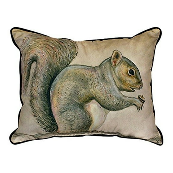 Squirrel Large Indoor/Outdoor Pillow 16x20