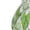 White, variant on Picia Light green argyle Pattern Women's 2 in 1 Athletic Running Shorts High Waisted Workout Casual Gym Sweat Shorts with Comfy Liner Zipper Pockets-X-Large