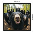 thumbnail image 5 of Kate and Laurel Sylvie Funny Animal Black Bear Selfie Framed Canvas Wall Art by The Creative Bunch Studio, 22x22 Black, Funny Cute Animal Art for Wall, 5 of 7