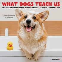 What Dogs Teach Us 2026 Mini Wall Calendar, (Paperback)