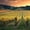 Golden Australian Vineyard, variant on Elephant Stock Tulips Flower Wall Art - Horizontal Canvas Wall Art - Living Room Wall Decor - Floral And Botanical Canvas - Green And Orange Decor - 51" x 34"