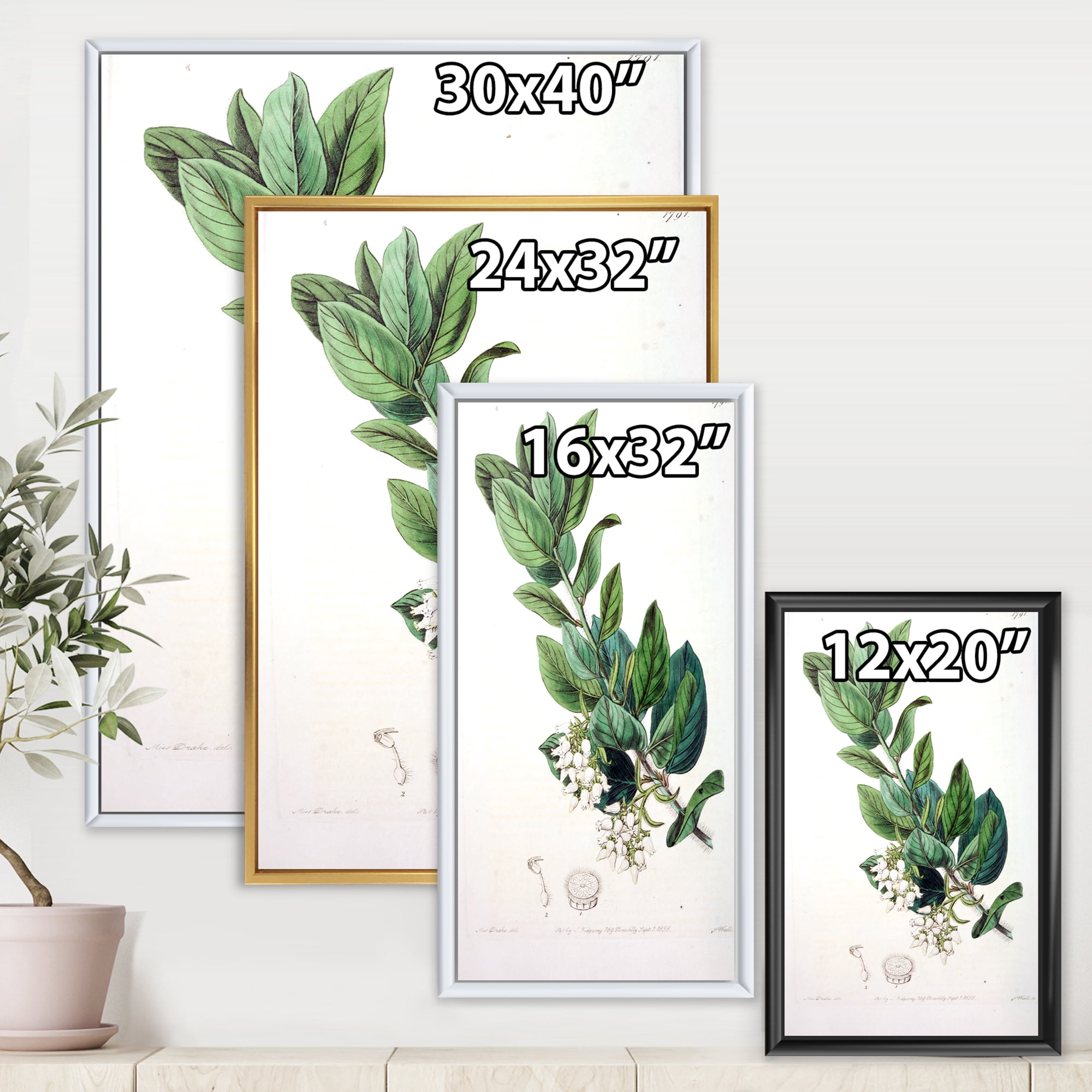 Designart 'Ancient Botanicals XX' Traditional Framed Canvas Wall Art Print