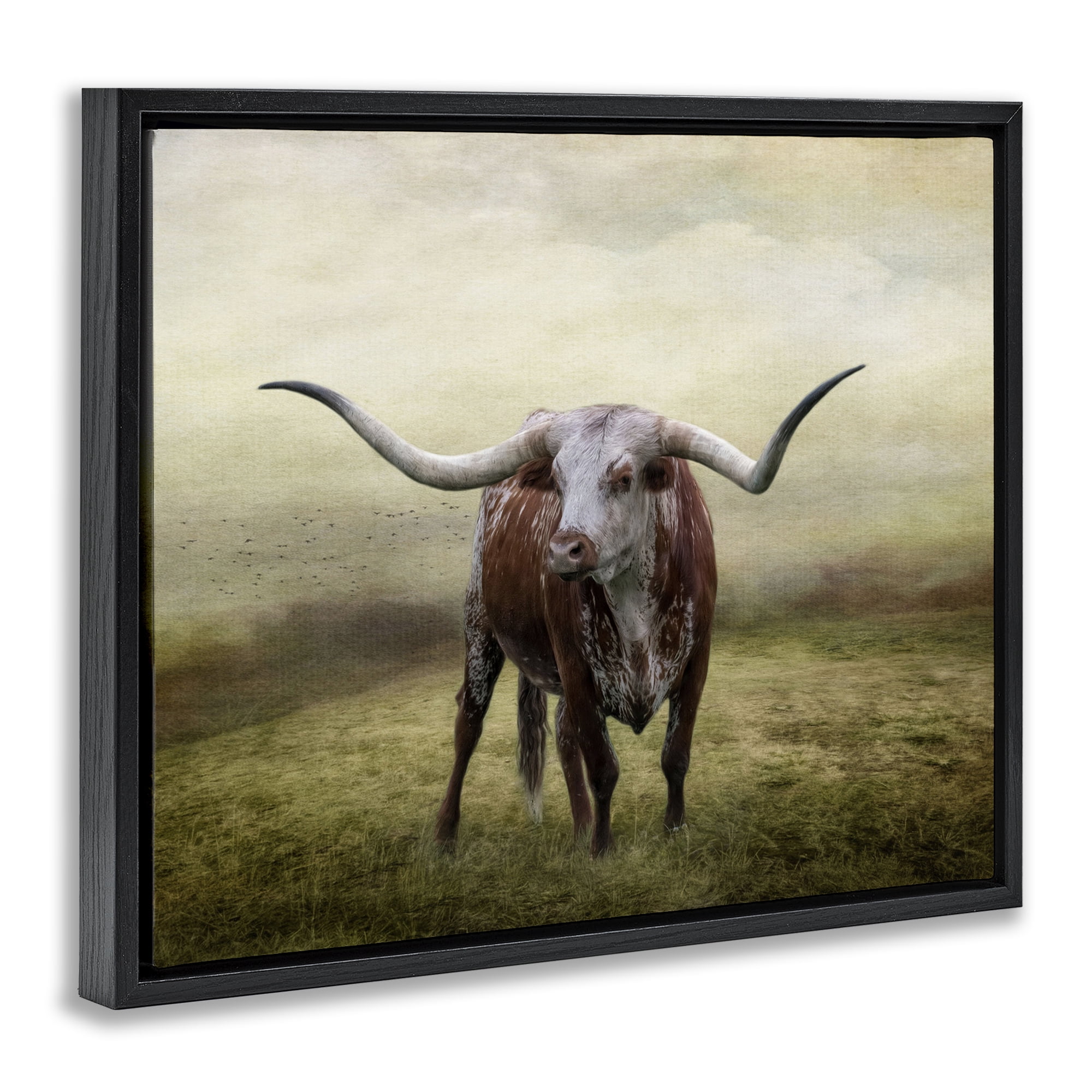 Stupell Industries Pride Of The Longhorn Animals & Insects Photography Black Floater Framed Canvas Art Print Wall Art, 21 x 17