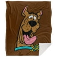 thumbnail image 2 of LOGOVISION Scooby-Doo Blanket, 50''x60'', Scooby Happy Silky Touch Sherpa Back Super Soft Throw Blanket, 2 of 5