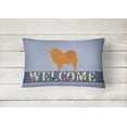 thumbnail image 2 of Carolines Treasures BB5555PW1216 Chow Chow Welcome Canvas Fabric Decorative Pillow, 12H x16W, multicolor, 2 of 3