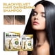 thumbnail image 2 of Champú reparador negro para el cabello Yellow Tong Hidrata Suaviza Masajea el cuero cabelludo, 2 of 9