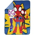 thumbnail image 2 of Marvel Spidey  and  His Amazing Friends Team Spider-Man Throw, 2 of 3