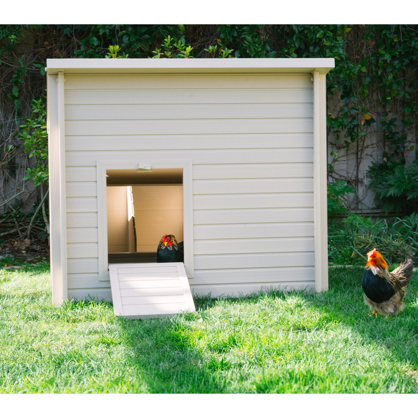 New Age Pet Ecoflex Jumbo Fontana Chicken Barn