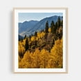 thumbnail image 2 of McClure Pass - Colorado Photography Autumn Landscape Mountain Nature Scenic Forest Wilderness Unframed Wall Art Print 8 x 10 inches, 2 of 13