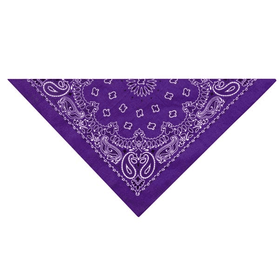 Carolina Hav-A-Hank Paisley Bandanna 22"X22"-Purple
