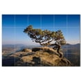 thumbnail image 1 of Trees Forest Ceramic Tile Mural Kitchen Backsplash Bathroom Shower, 401691-S64, 1 of 3