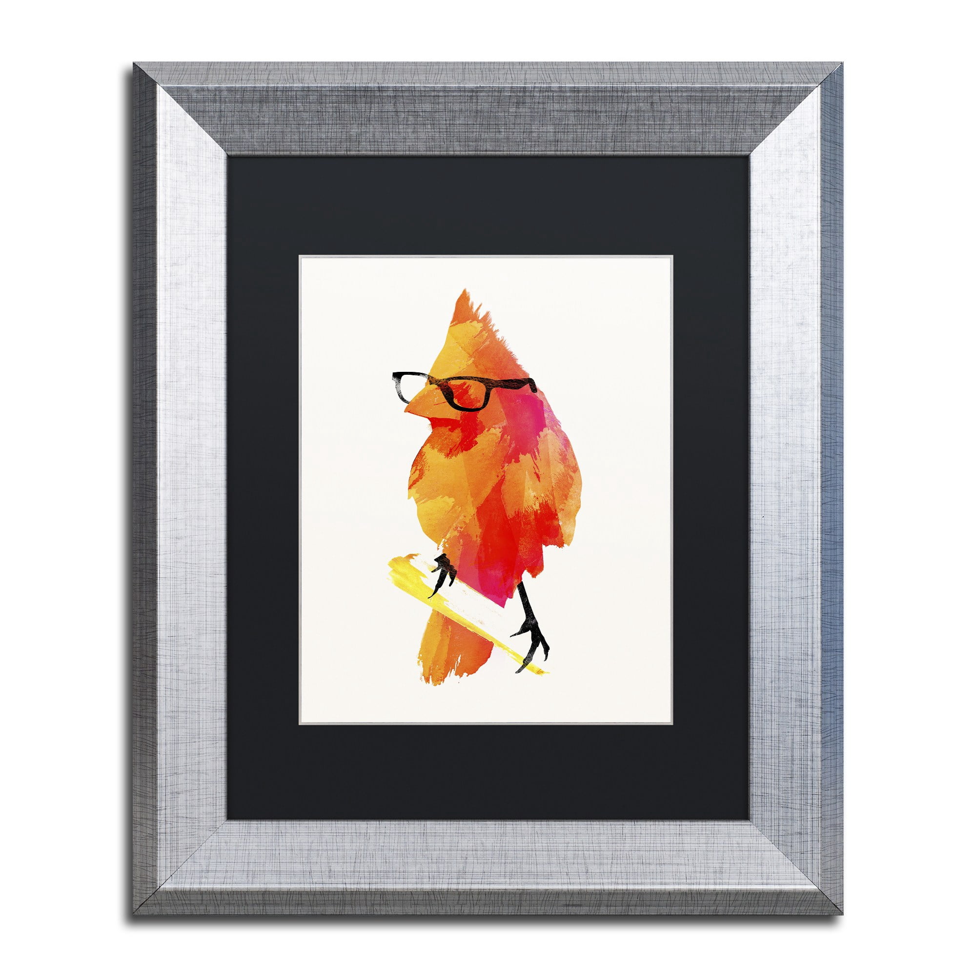 Trademark Fine Art 'Punk Birdy' Canvas Art by Robert Farkas, Black Matte, Silver Frame