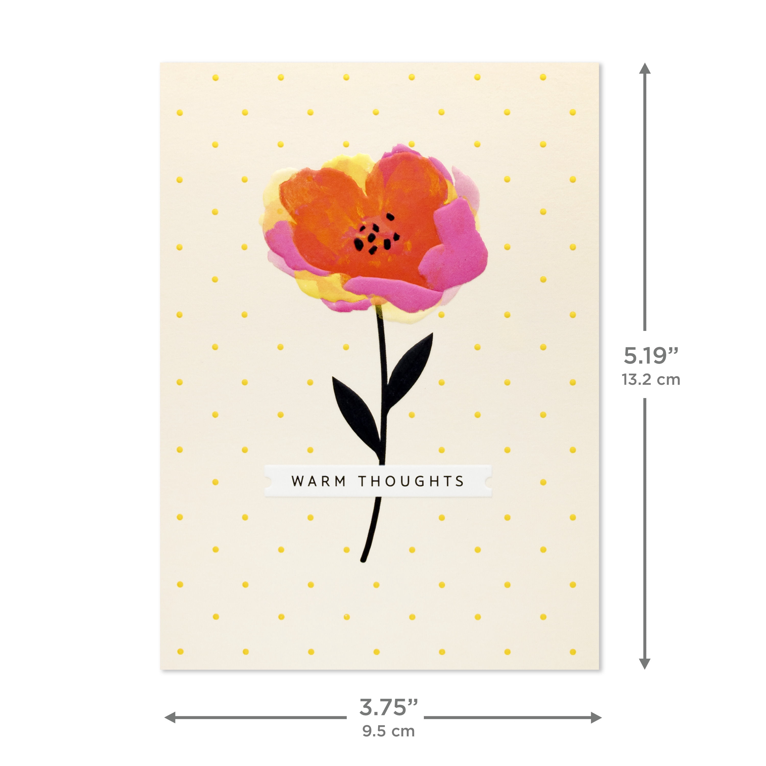 Hallmark Blank Notes (Warm Thoughts Floral), Pack of 10