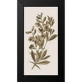 thumbnail image 2 of Phillip, Jamie 9x14 Black Modern Framed Museum Art Print Titled - Toned Botanical 2, 2 of 5
