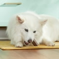 thumbnail image 5 of Rachael Ray Nutrish Soup Bones with Real Turkey & Rice, 3 Dry Dog Chews, 5 of 12
