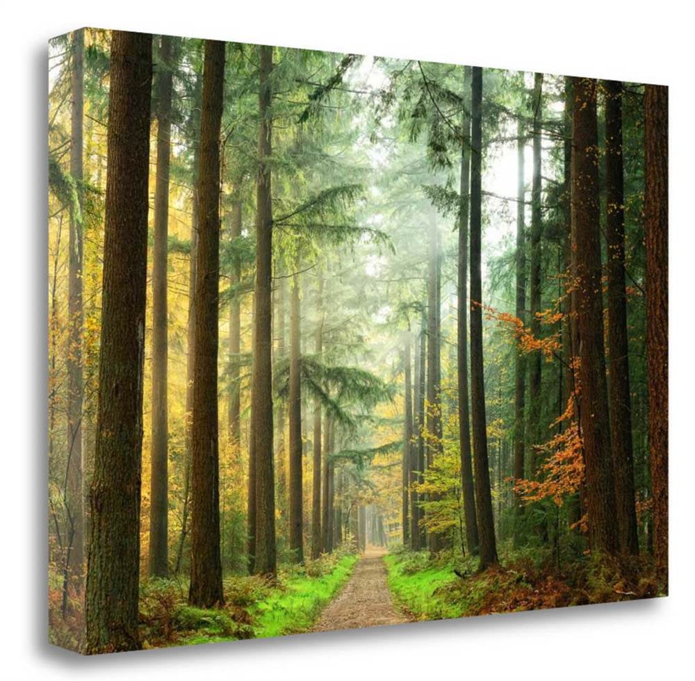 fine canvas art fine canvas art