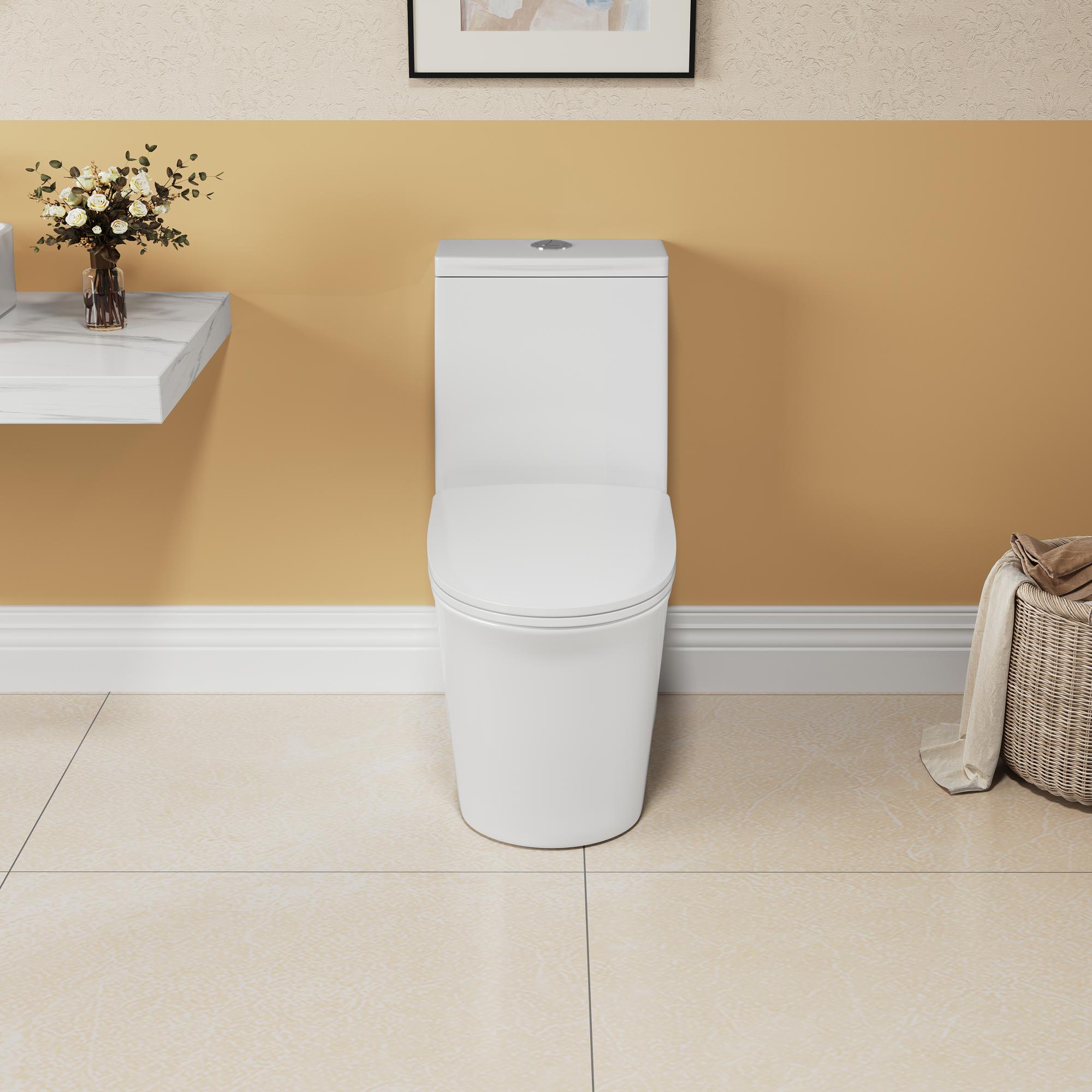 TrumanPick Elongated One Piece Toilet Dual Flush, 17" ADA Comfort Chair Height Seat Compact Toilet for Bathroom, Standard 1.1/1.6GPF, 12" Rough-in, White