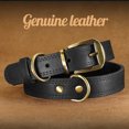 thumbnail image 2 of Didog Genuine Leather Pet Dog Collars Heavy Duty Adjustable High Quality Brass Buckle Black Brown, 2 of 8