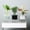 White, variant on Cheers.US Self Watering Planter, Clear Plastic Automatic-Watering Planter Self Watering Pots for Indoor Plants Flower Pot for All House Plants