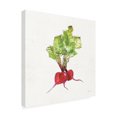 thumbnail image 2 of Anne Tavoletti 'Veggie Market II Radish' Canvas Art, 2 of 3