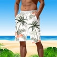 thumbnail image 2 of Hessimy Mens Swim Trunks Quick Dry Bathing Suits for Men Swim Shorts Swimwear,Mens Swimwear(White,XXL), 2 of 6