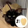 thumbnail image 5 of DAMAI Cat Cockroach Clothing DIY Kit,Funny Roach Costume with Antenna & Wings,Cat Cockroach Clothing for Halloween, Parties, and Pet Lovers Gifts, 5 of 6