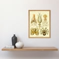 thumbnail image 2 of Ernst Haeckel Octopus Squid Gamochonia Biology Sea Animal Nature Germany Vintage Illustration Art Print Framed Poster Wall Decor 12x16 inch, 2 of 5