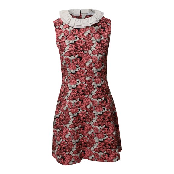 Pre-Owned Sandro Frilled Collar Mini Dress in Floral Print Polyester