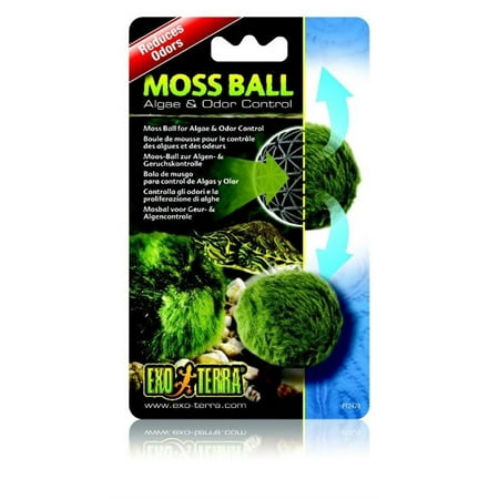 (2 pack) Exo Terra Moss Ball
