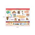 thumbnail image 2 of Póster Egipto I Educatodo B-5001-I, 2 of 2