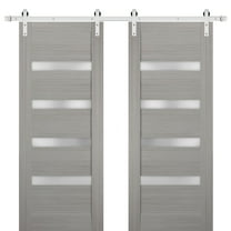 Sturdy Double Barn Door with | Quadro 4113 Grey Ash with Frosted Glass | Stainless Steel 13FT Rail Hangers Heavy Set | Solid Panel Interior Doors-84" x 80" (2* 42x80)-Silver Rail