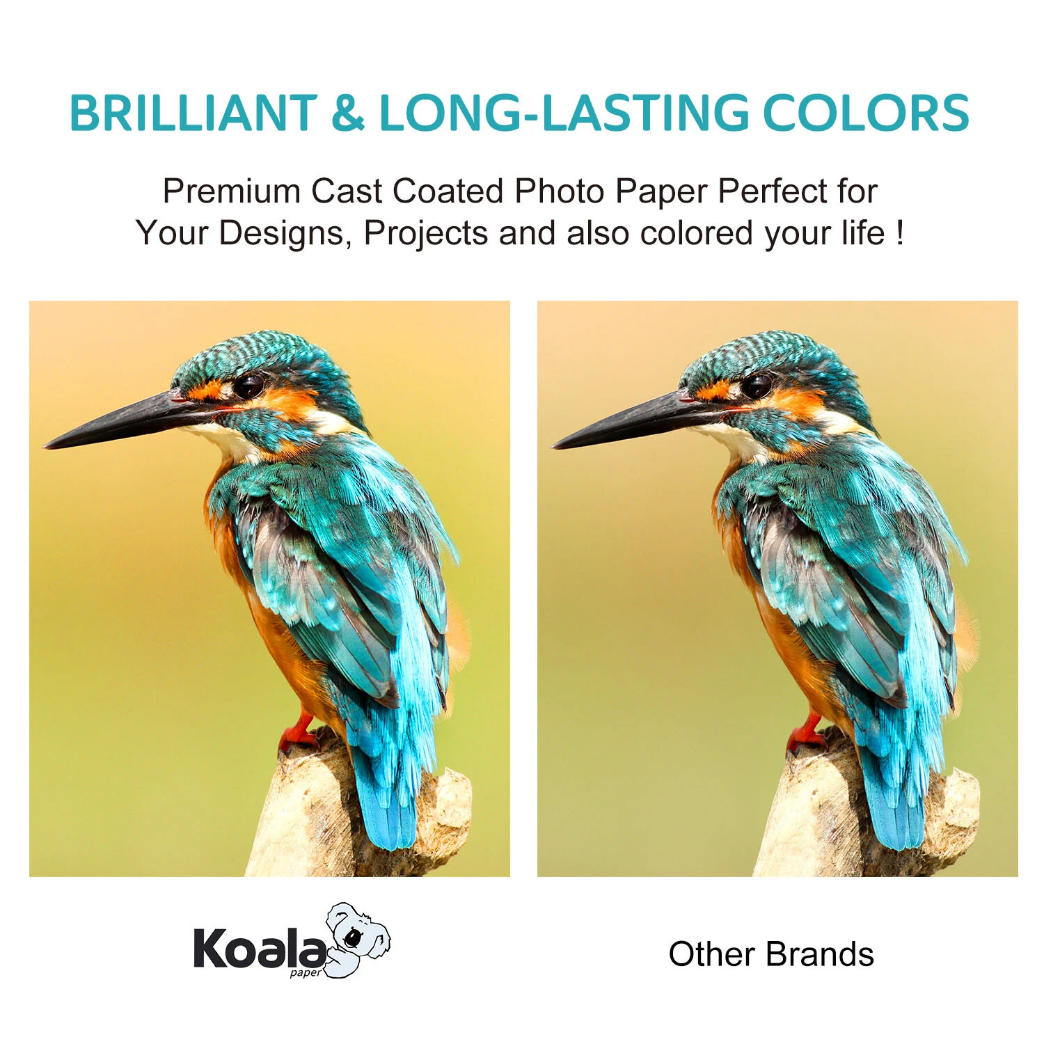 Assorted Size Inkjet Photo Paper Bundle - Koala Ultra Premium 72lb Glossy Photo Paper Inkjet Printer, 8.5x11,4x6,5x7