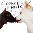 thumbnail image 1 of Coachwhips Bangers Vs. Fuckers Vinyl, 1 of 1