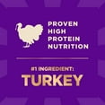 thumbnail image 6 of Wellness CORE+ Dry Dog Food with Freeze Dried Pieces, Small Breed, Grain Free, High Protein, Natural, Original Turkey & Chicken Recipe, (4-Pound Bag), 6 of 9
