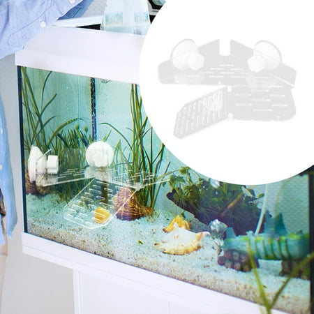 FRCOLOR Cup Reptile Basking Platform Turtle Aquarium Terrace Growth Sunbathing Dock