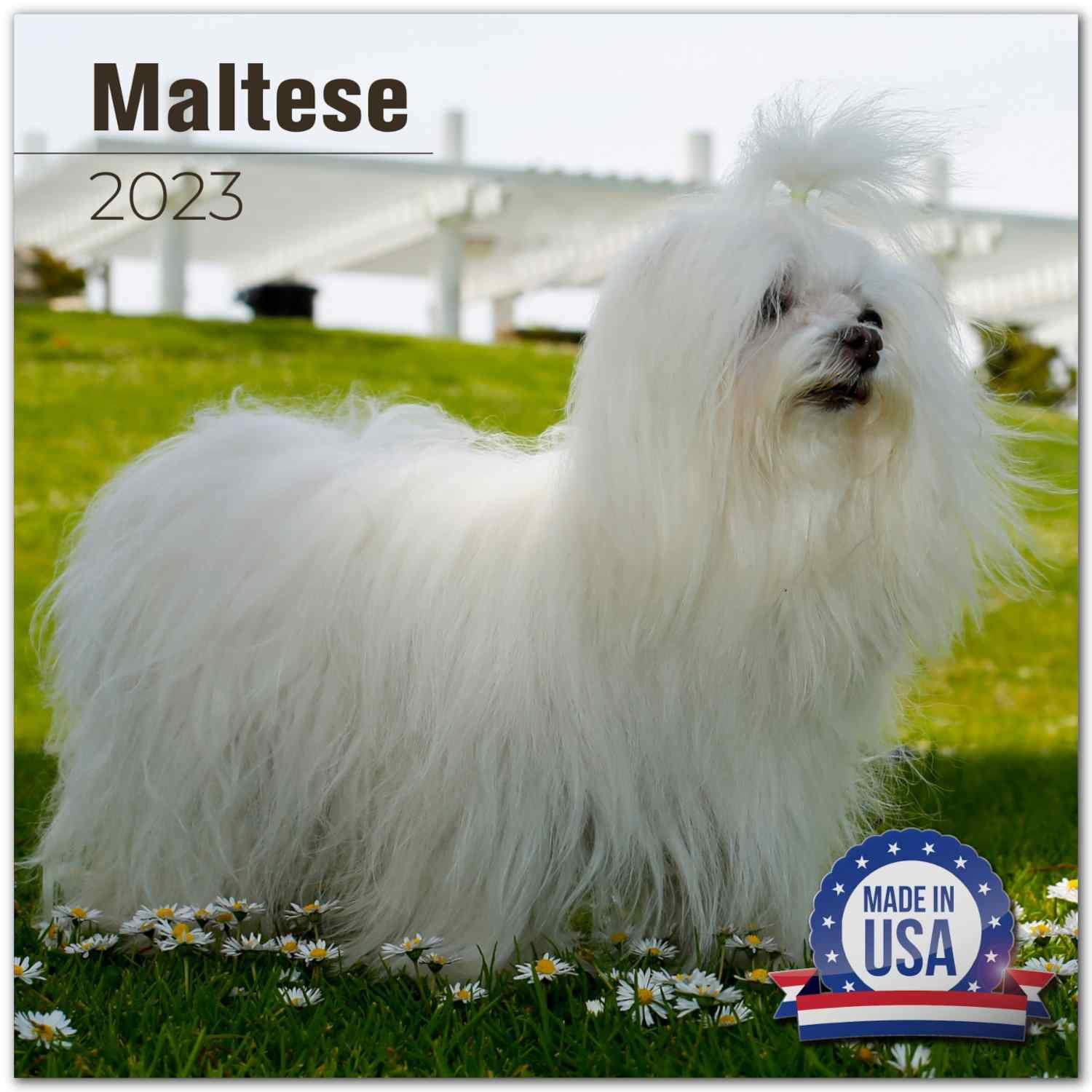 2022 2023 Maltese Calendar - Dog Breed Monthly Wall Calendar - 12 x 24 Open - Thick No-Bleed Paper - Giftable - Academic Teacher's Planner Calendar Organizing & Planning Calendar