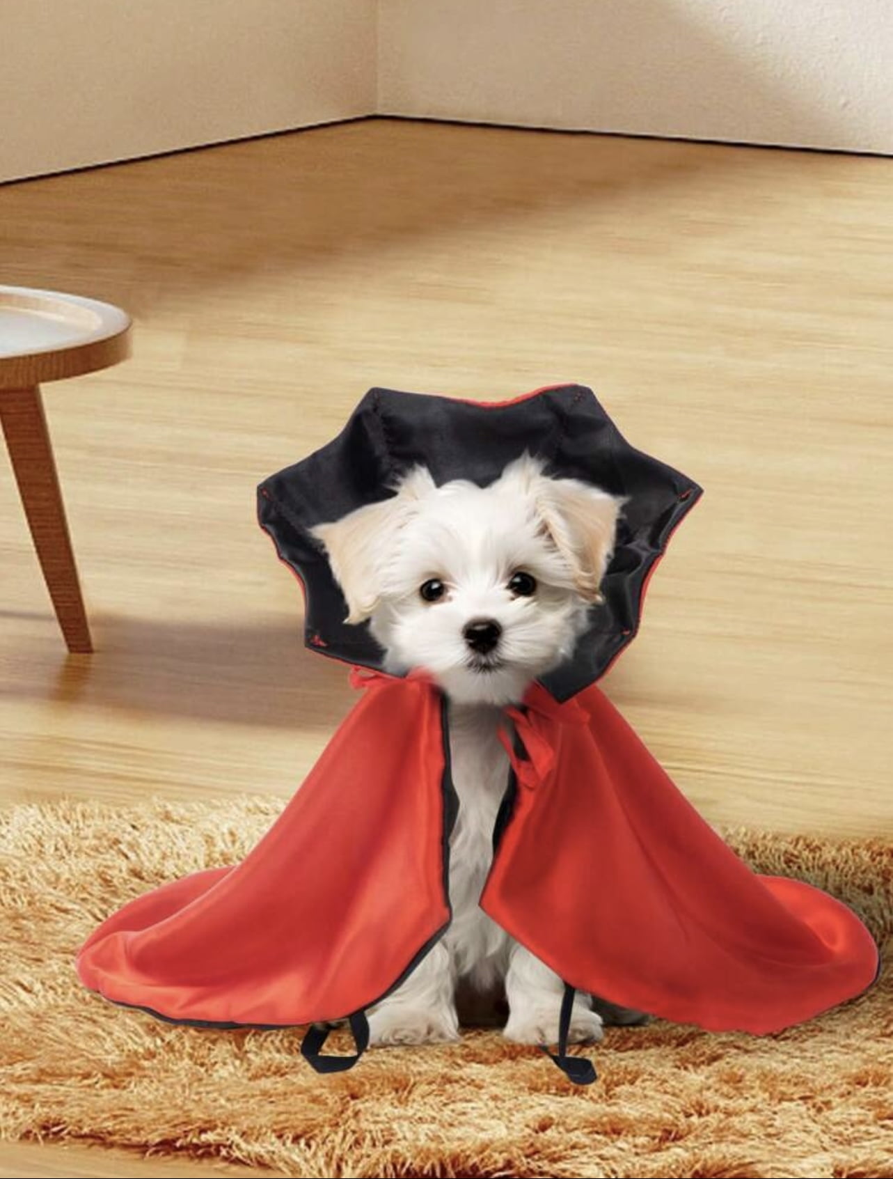 Disney Snow White Pet Costume for Dogs or Cats by Rubies, Small