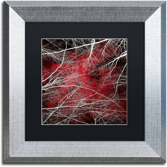Trademark Fine Art "Fear" Canvas Art by Philippe Sainte-Laudy Black Matte, Silver Frame