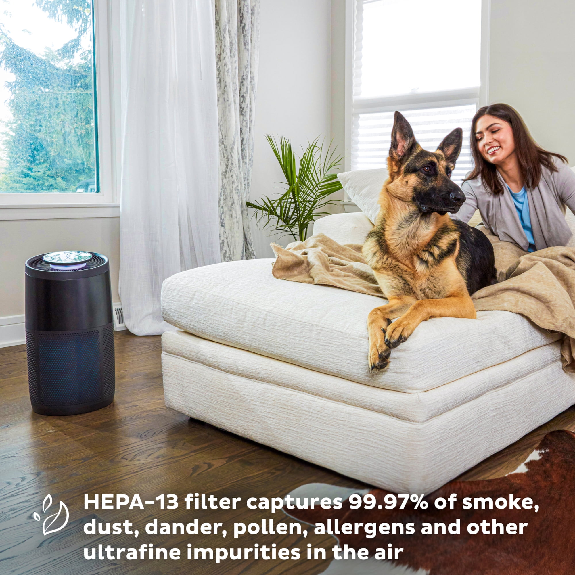Instant 150000501 Air Purifier, Large, Charcoal