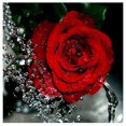 thumbnail image 2 of 30x30cm 5D Diamond Painting DIY Rose Red Painting Cross Stitch Costura Likrtyny Arte deco, 2 of 9