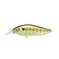 thumbnail image 3 of Megabass Flapslap HT ITO Tennessee Shad Crankbait & Jerkbait, 3 of 3