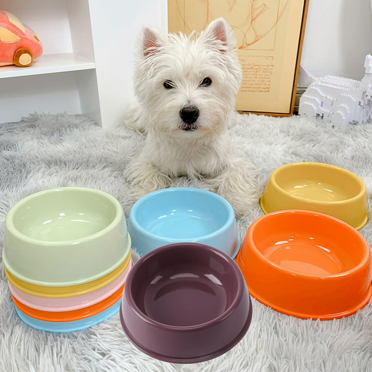 Small plastic dog sale bowls