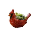thumbnail image 4 of 2026 Cardinal Bird Succulent Planter, 7.8in Ceramic & Resin Cardinal Bird Succulent Planter with Drainage Hole, Cardinal Bird Hummingbird Themed Decorative Pot for Outdoor Plants B, 4 of 7