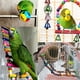 thumbnail image 5 of Juego de Juguetes Colgantes para Loros con Campanas y Columpio de Madera, Set de 15 Piezas, 5 of 7