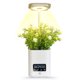thumbnail image 1 of Plantador hidropónico Maceta inteligente para plantas de interior, jardín interior, luz de cultivo con lámpara LED de mesa, reloj, humidificador, kit hidropónico automático, jardineras para plantas pe Abanopi Plantador hidropónico, 1 of 7