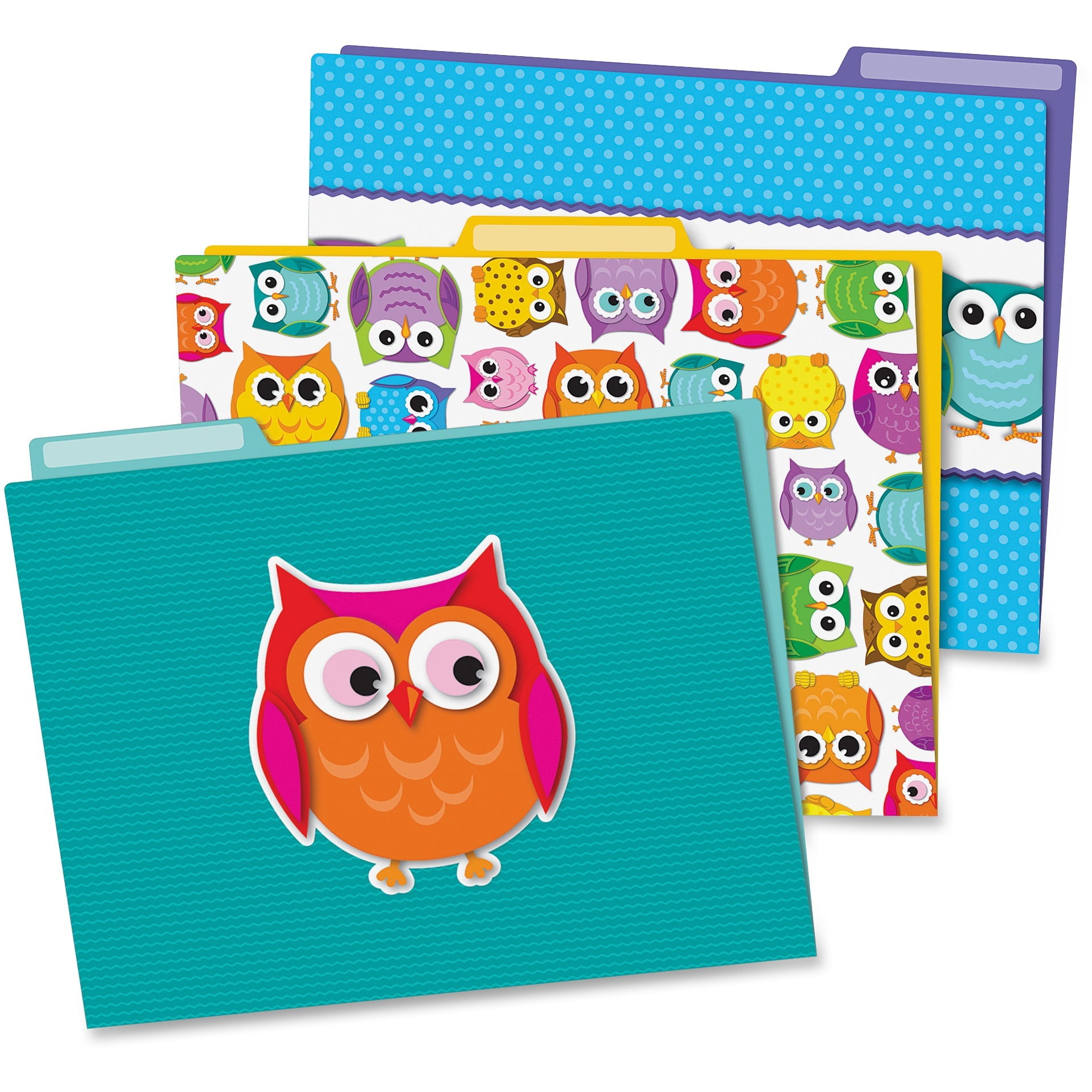 CarsonDellosa Colorful Owls File Folders Set, Pack of 6