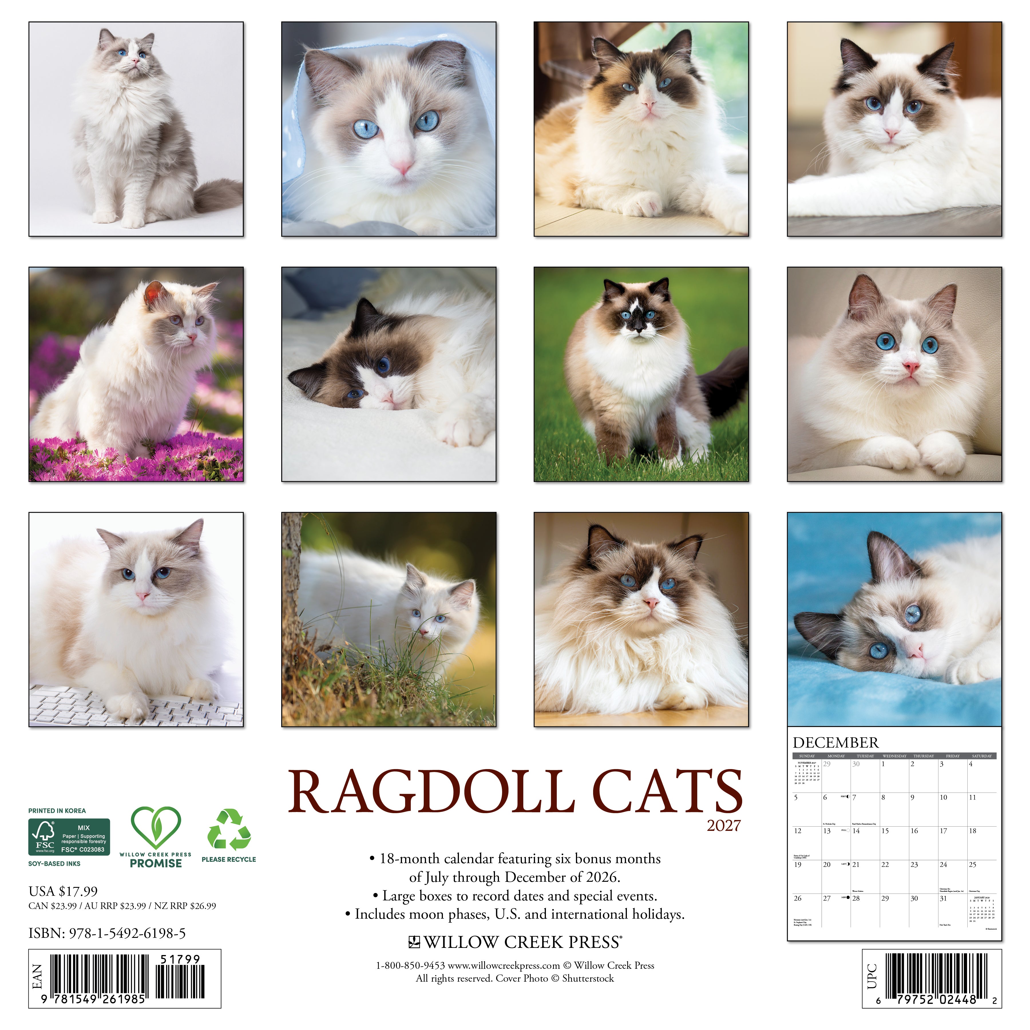 Willow Creek Press, Ragdoll Cats 2027 Wall Calendar