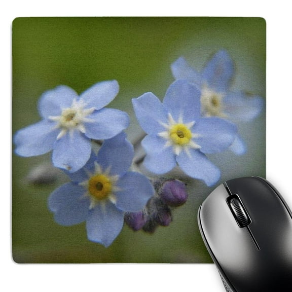 3dRose, Forget -Me -Not - alzheimers disease, forget me not, friendship, grandparents day, love, myosotis, MousePad