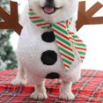 thumbnail image 4 of Disfraz navideño de muñeco de nieve para mascotas Disfraz de muñeco de nieve para perros Ropa navideña para perros Vacaciones Perro Gato Mascota para cosplay navideño Adecuado para mascotas de menos de 2,5 kg Rojo Verde MX-0126512FYD, 4 of 5